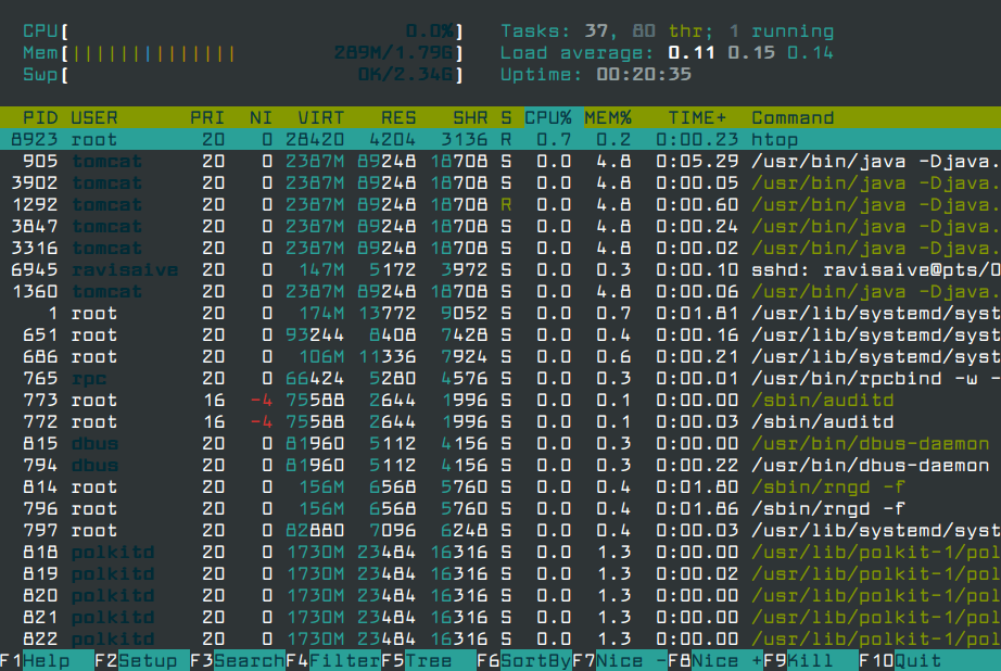 htop インタラクティブ プロセス ビューアー