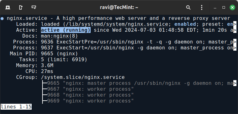 Debian で Nginx のステータスを確認する