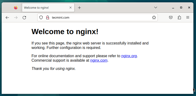 ドメインでNginxページを確認する